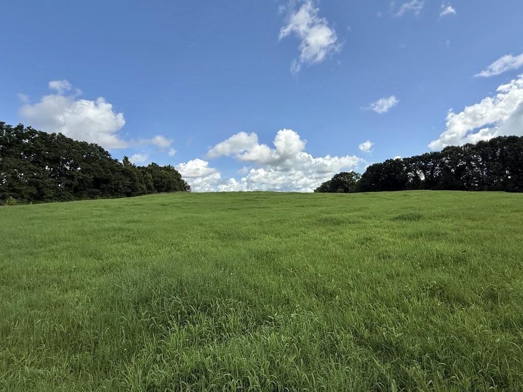 389 County Road 3316