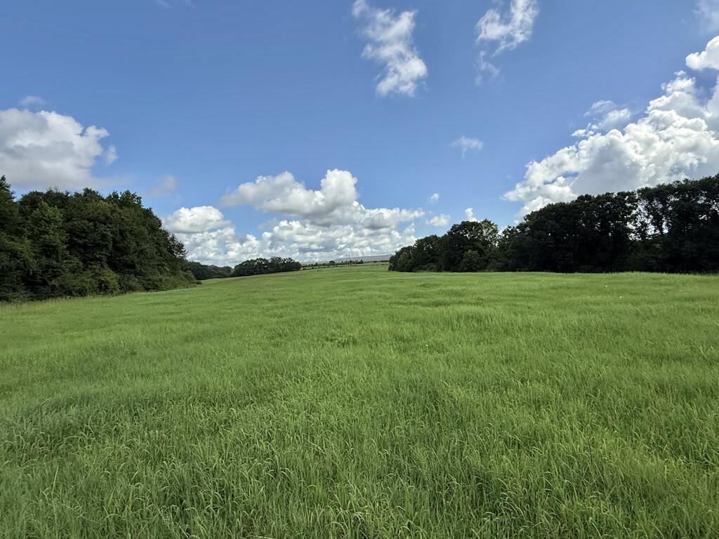389 County Road 3316