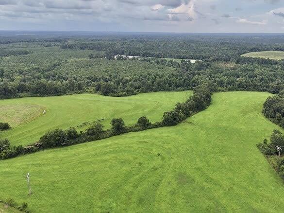 389 County Road 3316