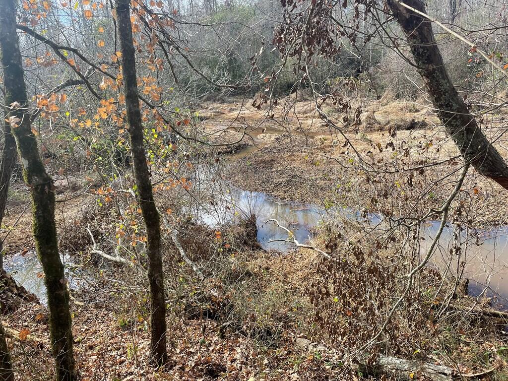 389 County Road 3316