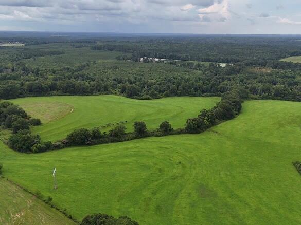 389 County Road 3316