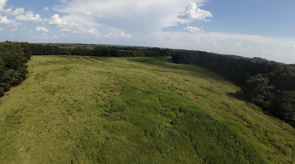 Aerial view of open grassy land bordered by dense tree lines.