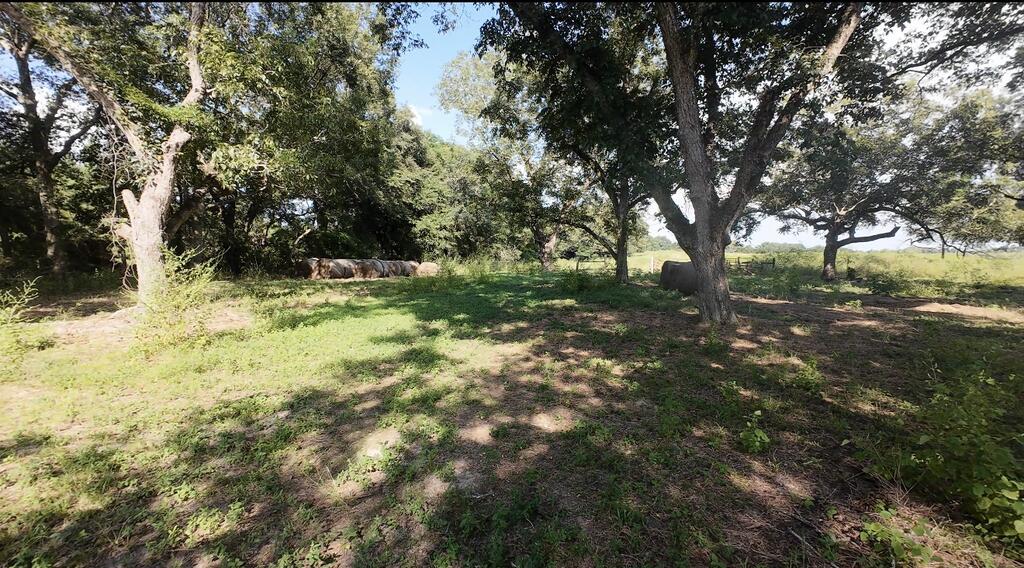 Rural land with a grassy clearing, mature trees, round hay bales, and a fence.