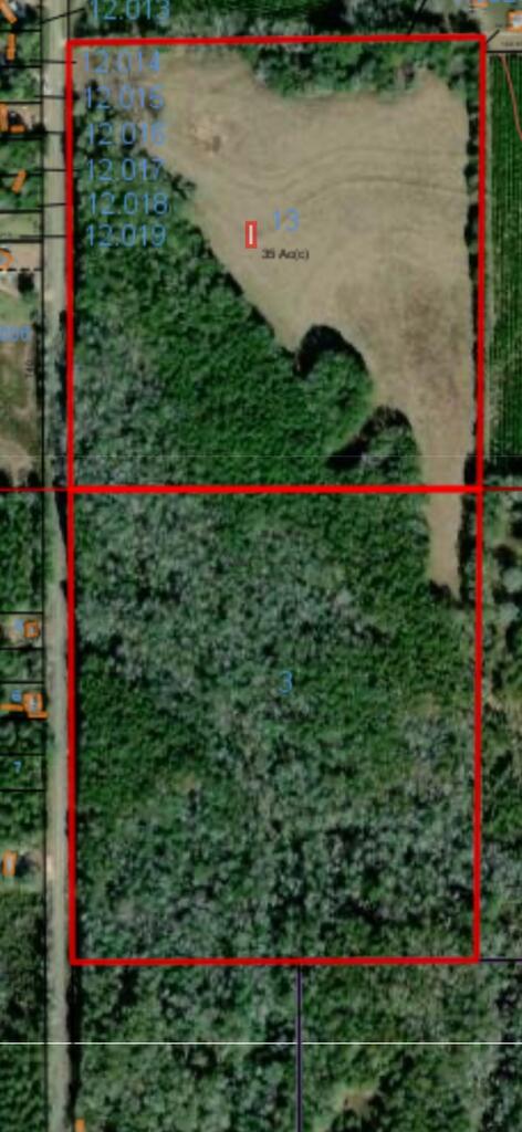 Aerial view of wooded land with a cleared area and red parcel boundaries.