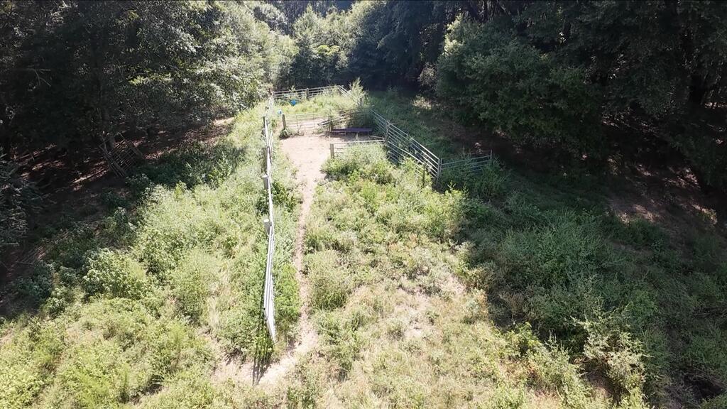Aerial view of a wooded parcel with a fenced clearing and overgrown vegetation.