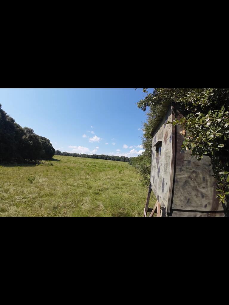 Open grassy field bordered by trees, with a small wooden structure at the edge.