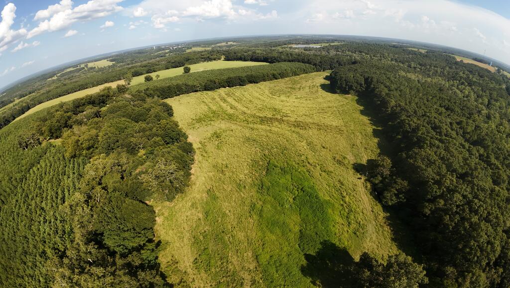 Aerial view of a grassy clearing bordered by dense woods and open fields.