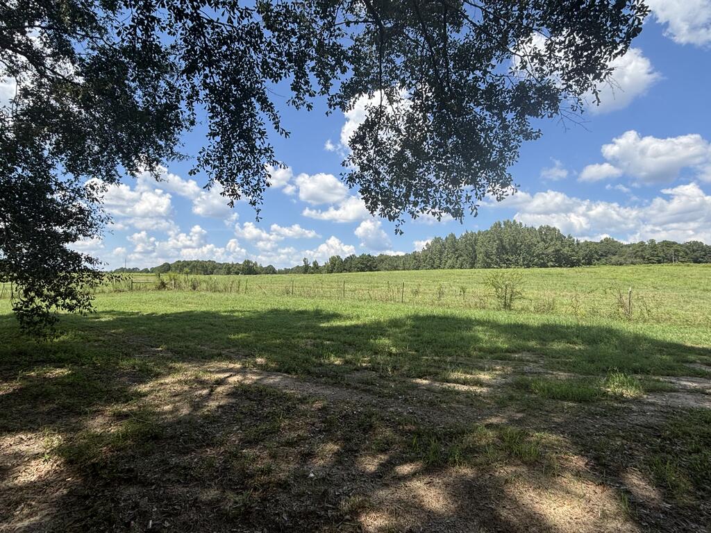 453 County Road 4412