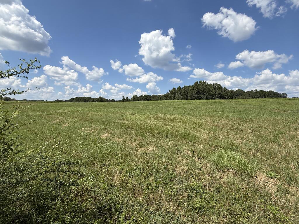 453 County Road 4412