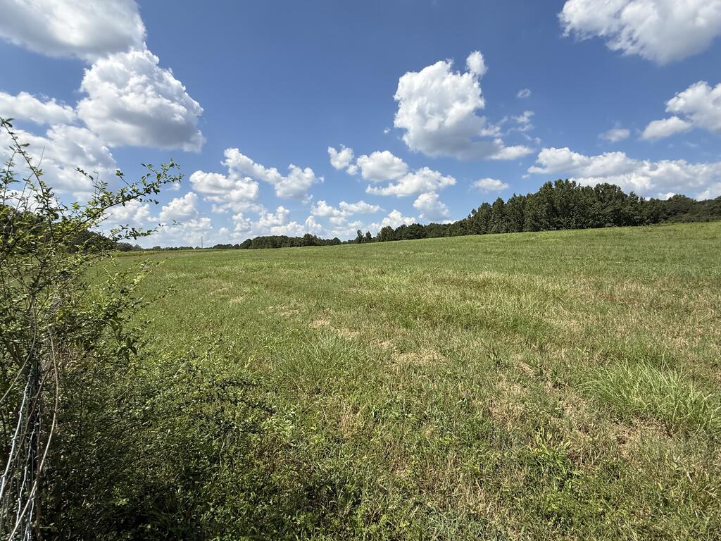 453 County Road 4412