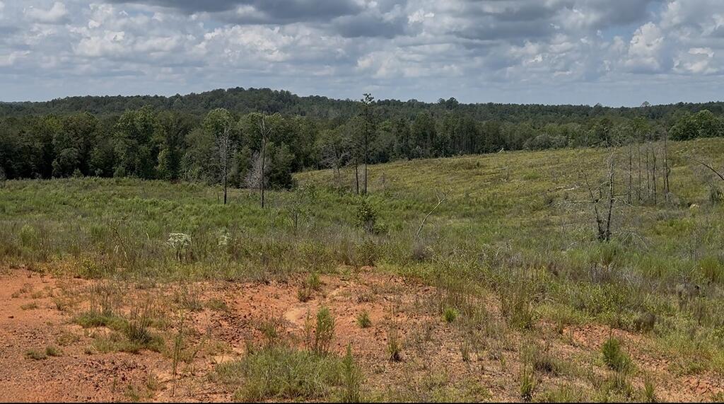 Vacant rural land with reddish soil, grassy slopes, and wooded rolling hills.