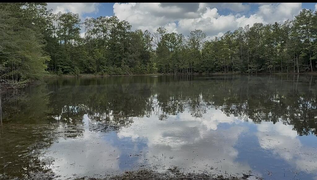 Wooded pond reflecting the tree-lined shore and cloudy sky.