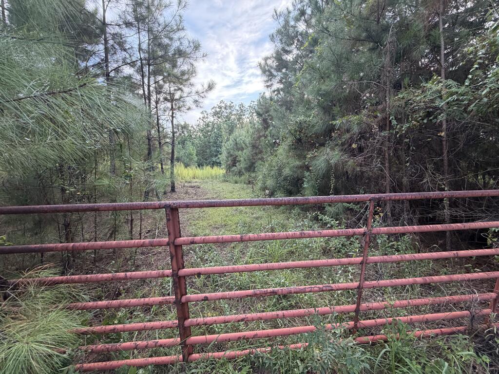Wooded vacant land with a grassy clearing behind a weathered red metal gate.