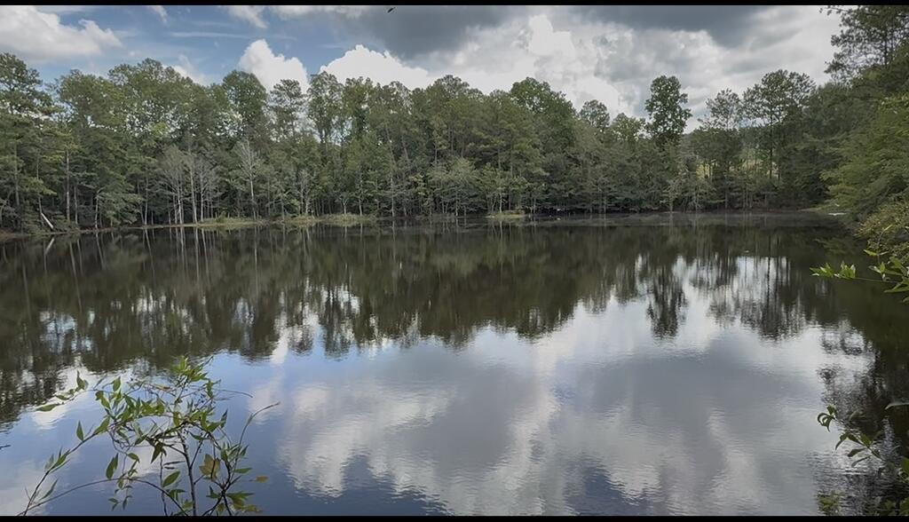 Wooded pond with trees and clouds reflected across the water.