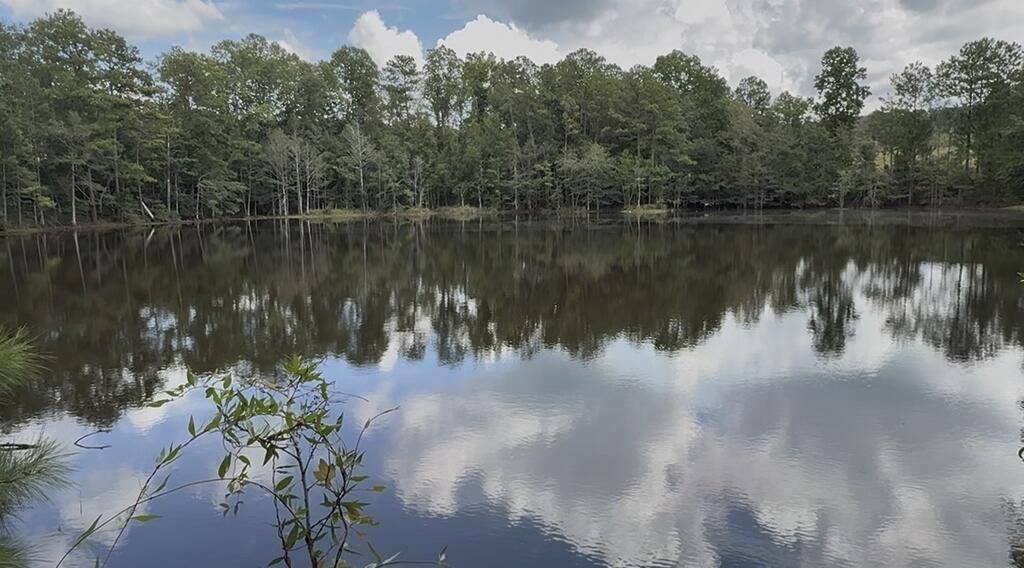 Calm pond reflecting a tree-lined shore and partly cloudy sky.