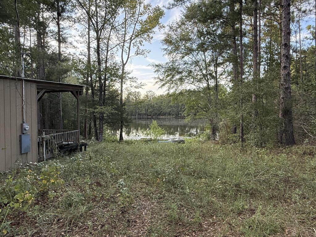 Wooded waterfront with a small covered structure and a calm pond framed by tall trees.