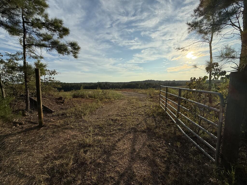 Rural vacant land beyond an open metal gate, with a cleared field and distant tree line.