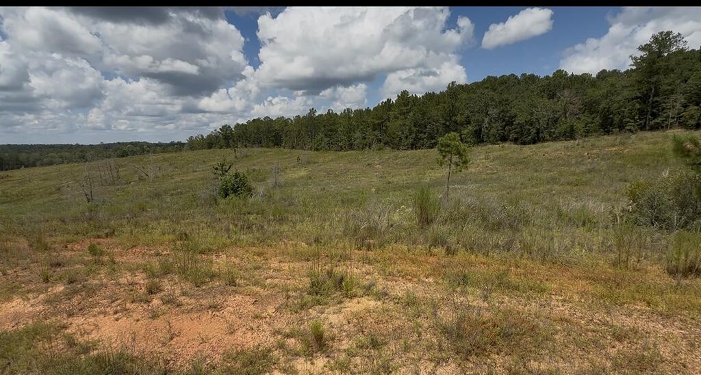 Open rural land with reddish soil, rolling grassy fields, and a wooded tree line.