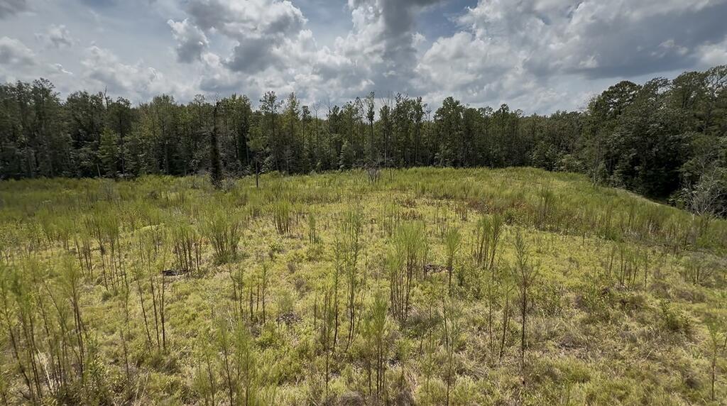 Undeveloped grassy parcel bordered by trees beneath a partly cloudy sky.