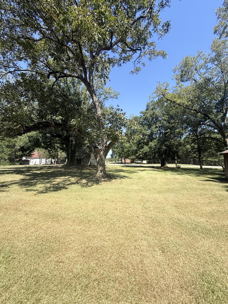 10605 County Road 1101