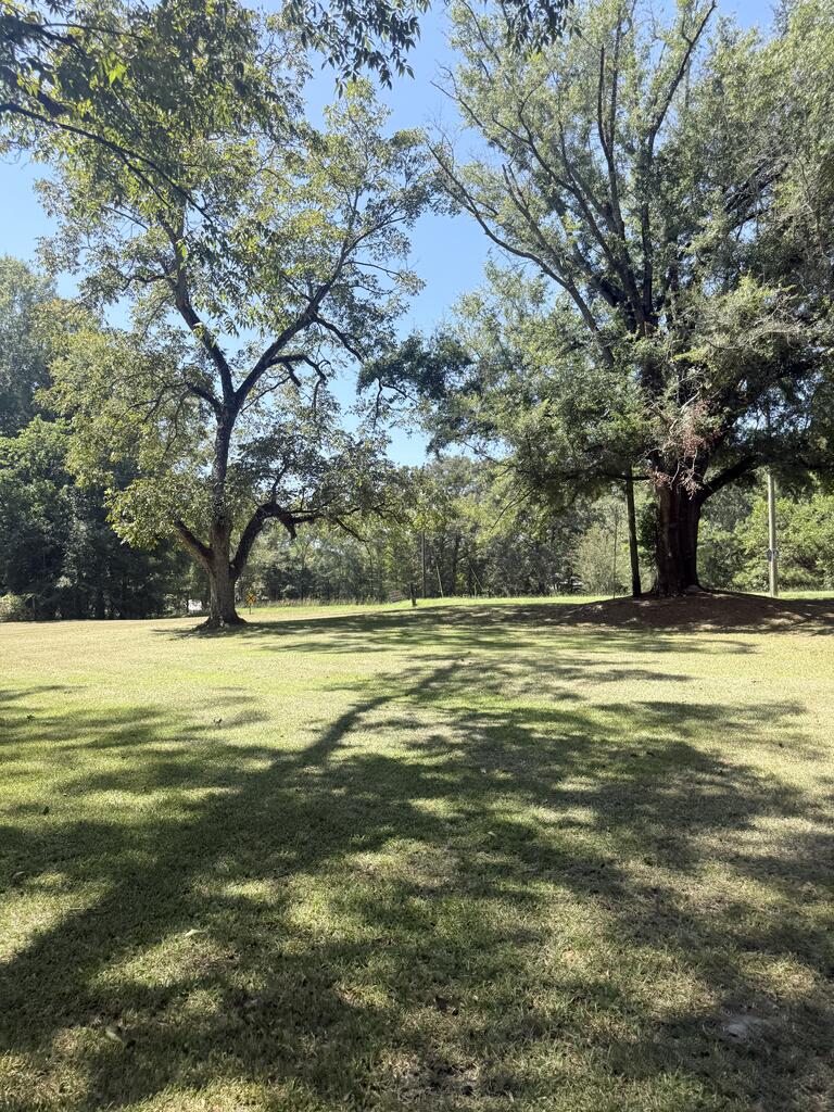 10605 County Road 1101