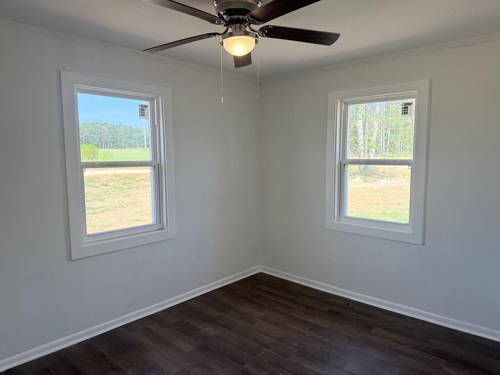 Empty bedroom with dark flooring, two windows, and a ceiling fan with light.