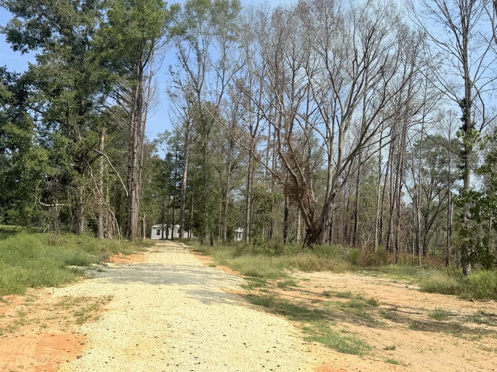 Gravel driveway through a wooded property, leading to a small white building.