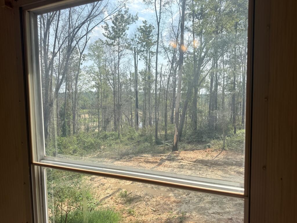 Wooded property viewed through a window, with tall trees, brush, and bare ground.
