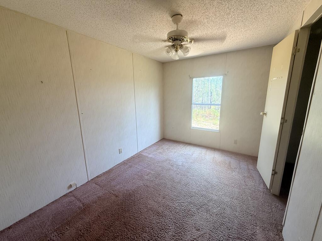Empty bedroom with mauve carpet, a ceiling fan, and a window overlooking trees.
