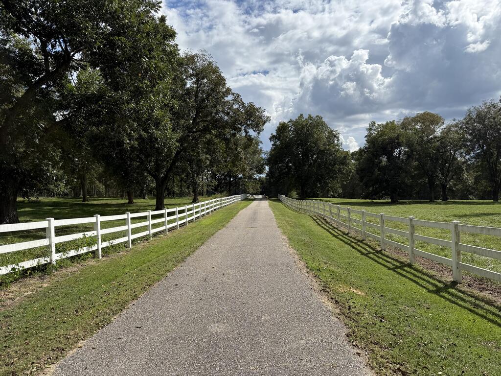 Paved driveway bordered by white fences, green lawns, and mature trees.