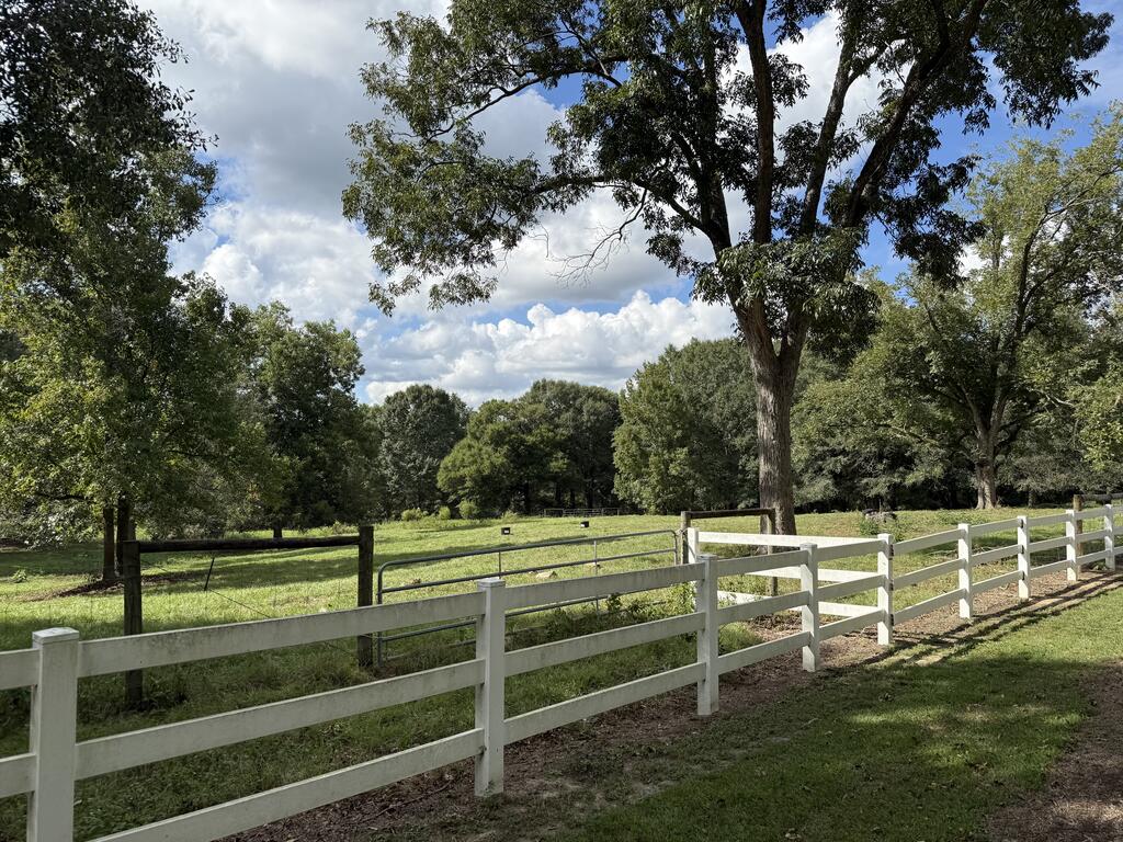 Grassy property with mature trees and white and dark fences.