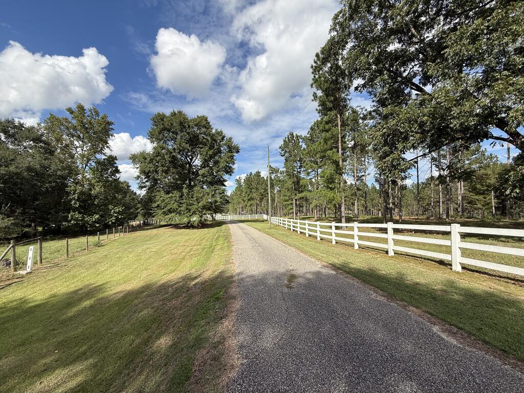 Paved driveway through a tree-lined property, bordered by a white rail fence and lawn.