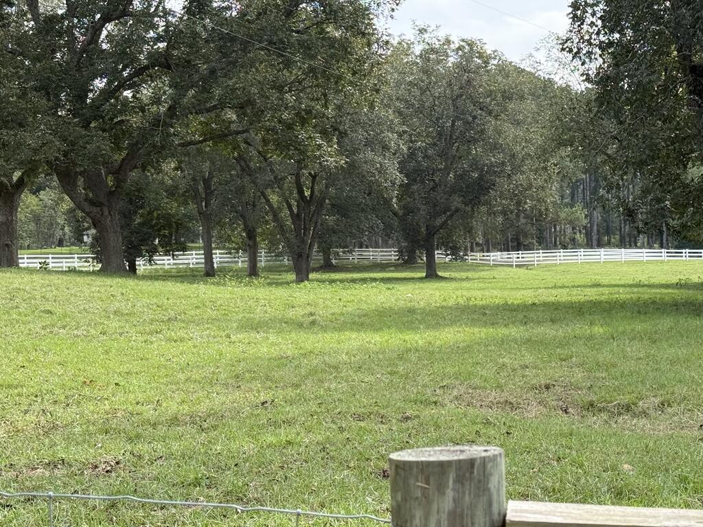 Grassy property with mature shade trees and white fencing.