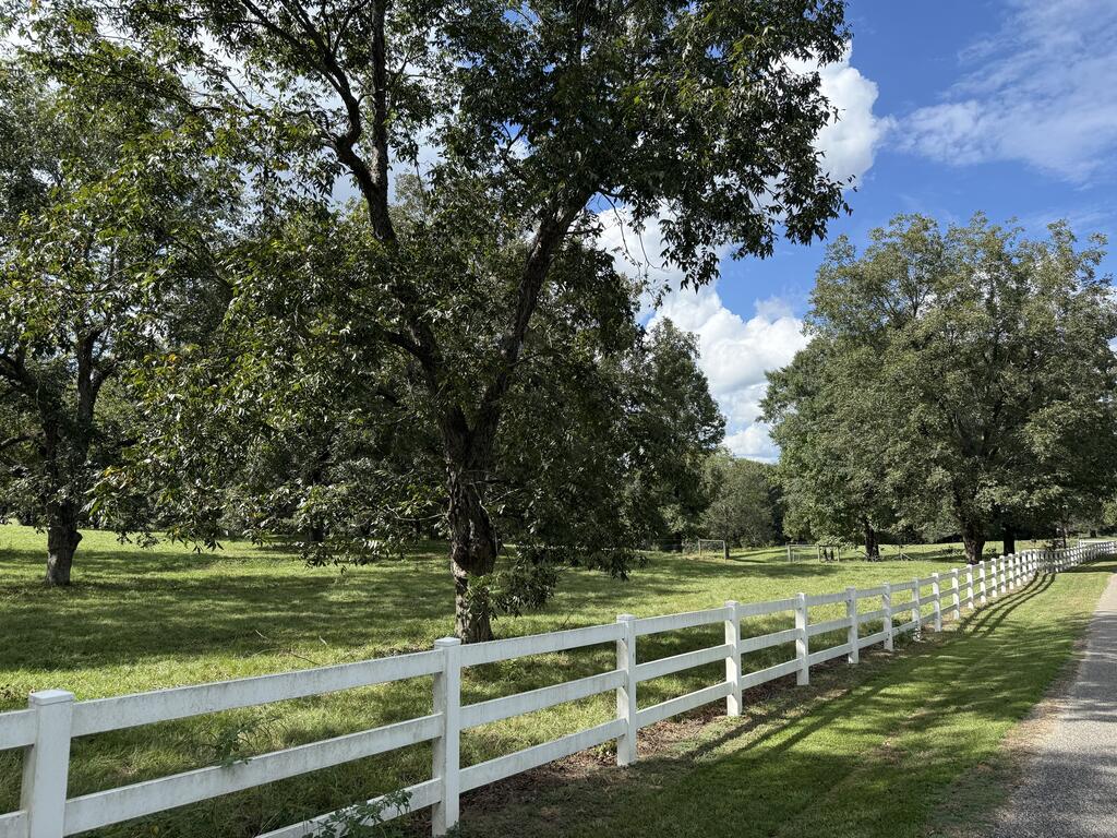 Rural property with mature trees and a white rail fence beside a gravel drive.