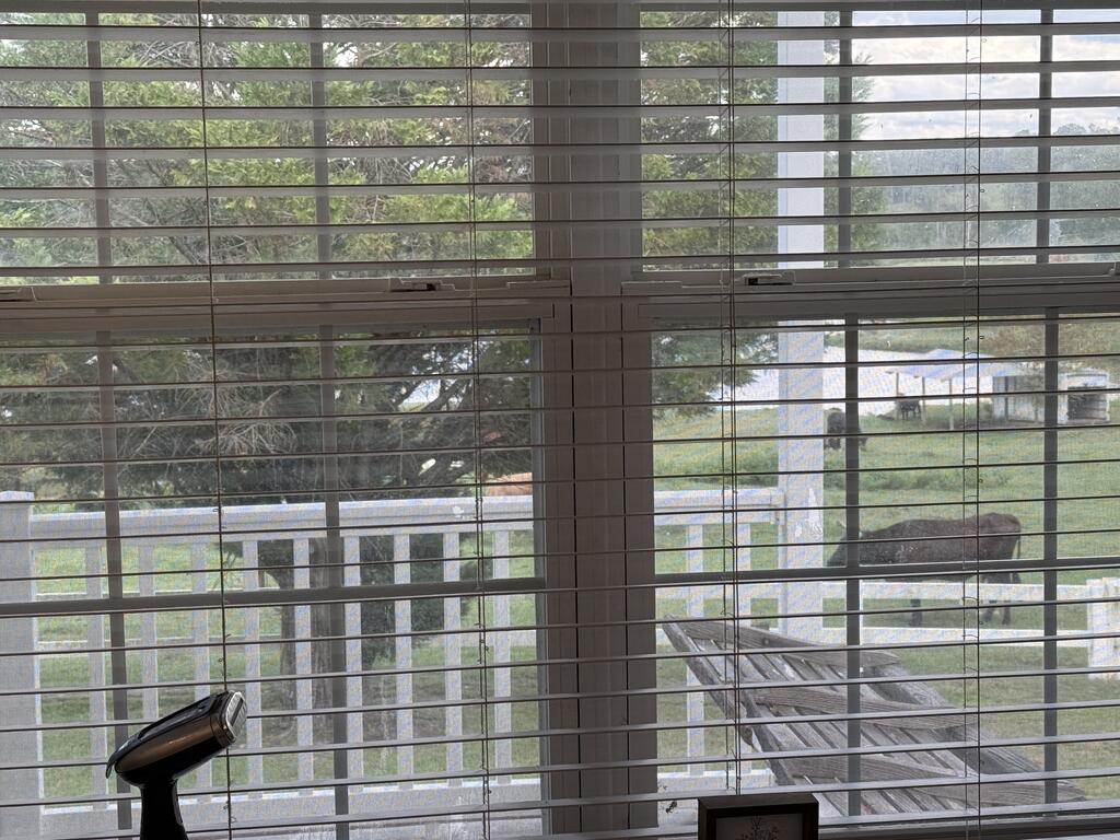 Window with horizontal blinds overlooking a fenced yard and a horse.