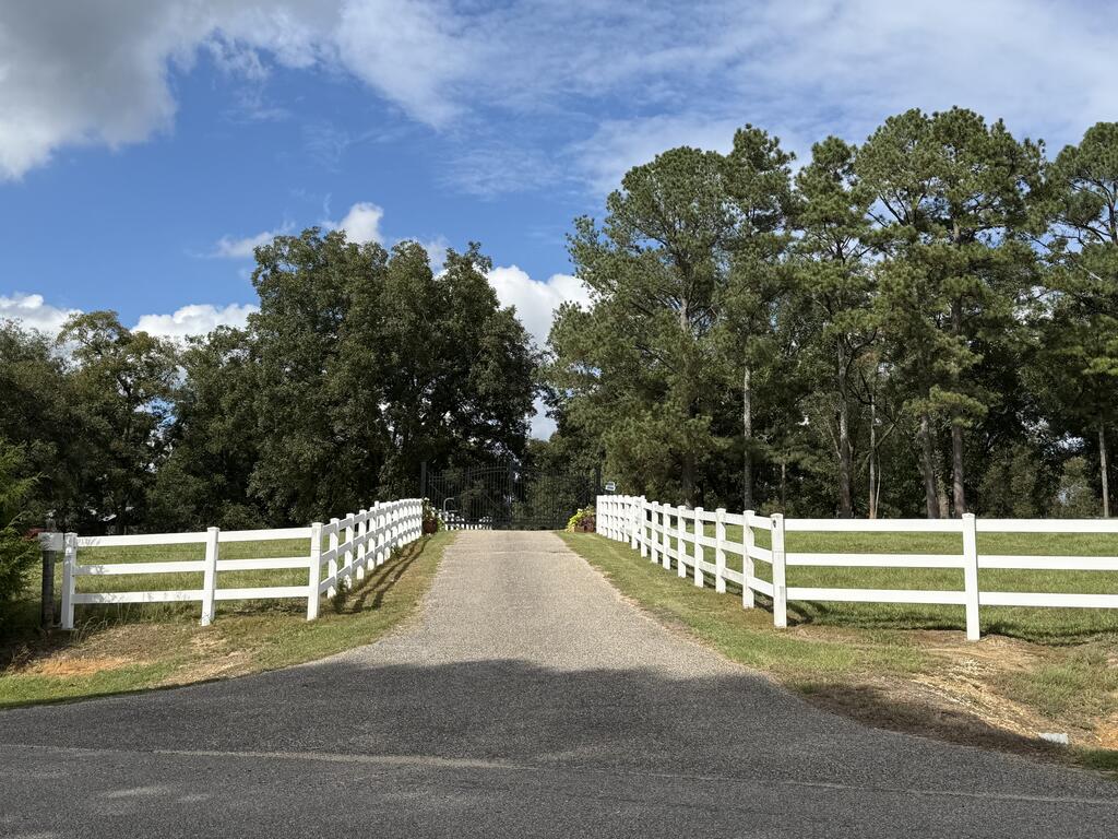 Gravel driveway leading to a gate between white fences and mature trees.