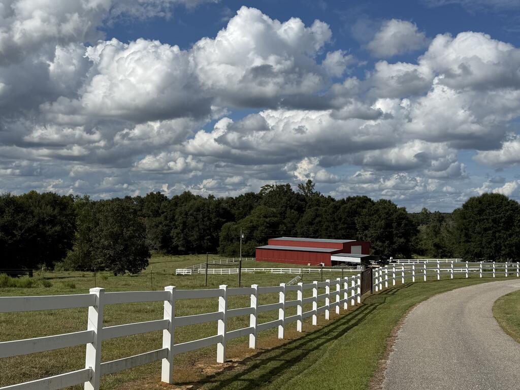 Red barns and grassy pasture behind white fencing along a paved driveway.