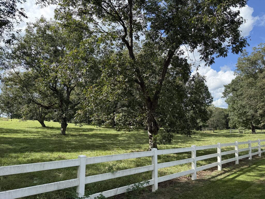 Grassy rural property with mature trees and a white rail fence.