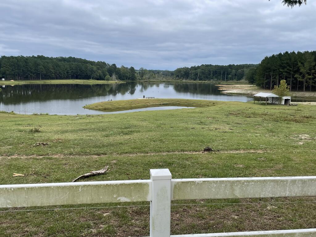 Grassy pond shoreline with a small peninsula, covered shelter, and wooded banks.