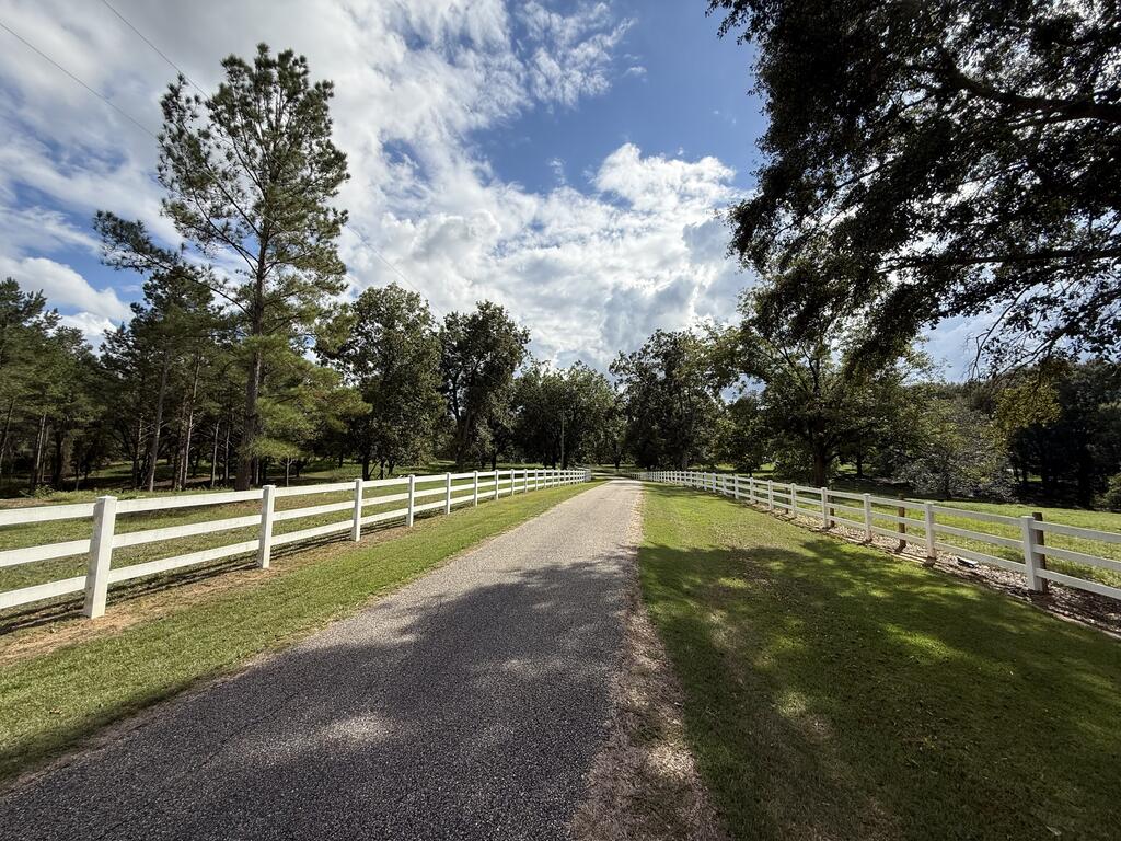 Paved driveway bordered by white rail fences and mature trees.