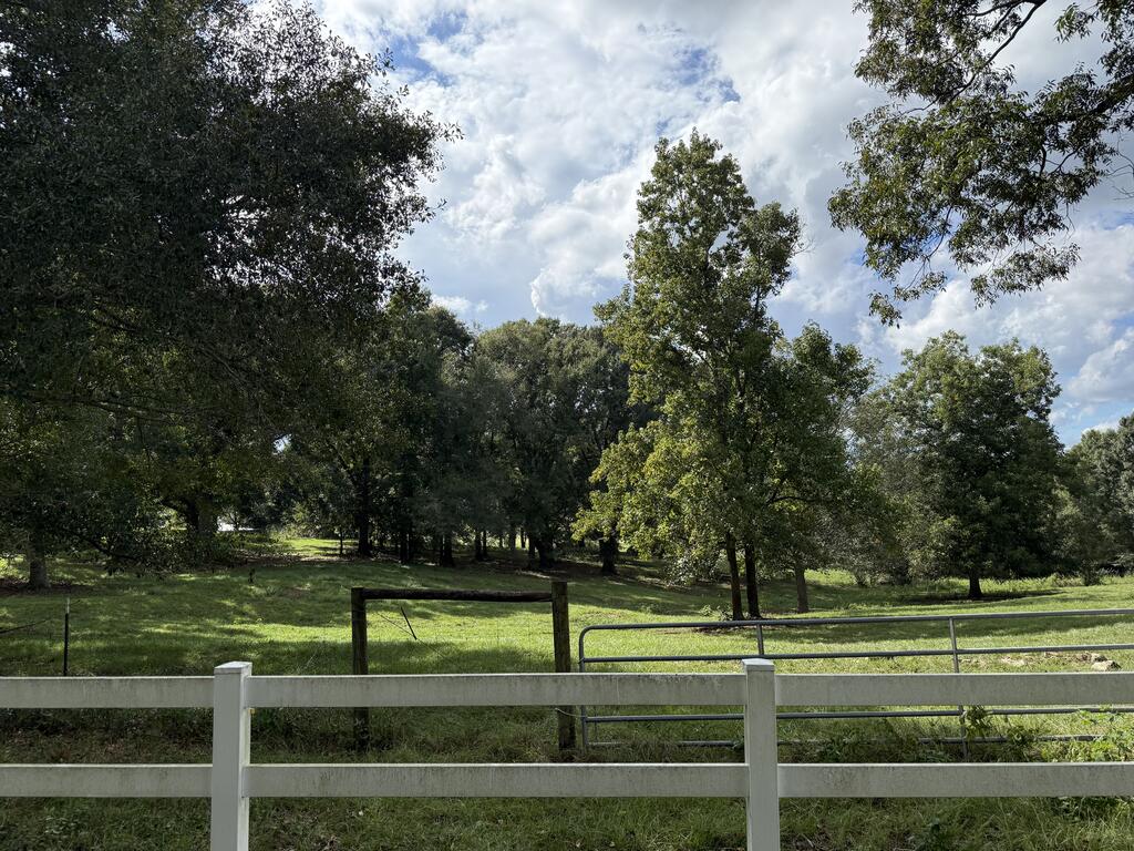 Grassy property with mature trees, a white fence, and a metal gate.