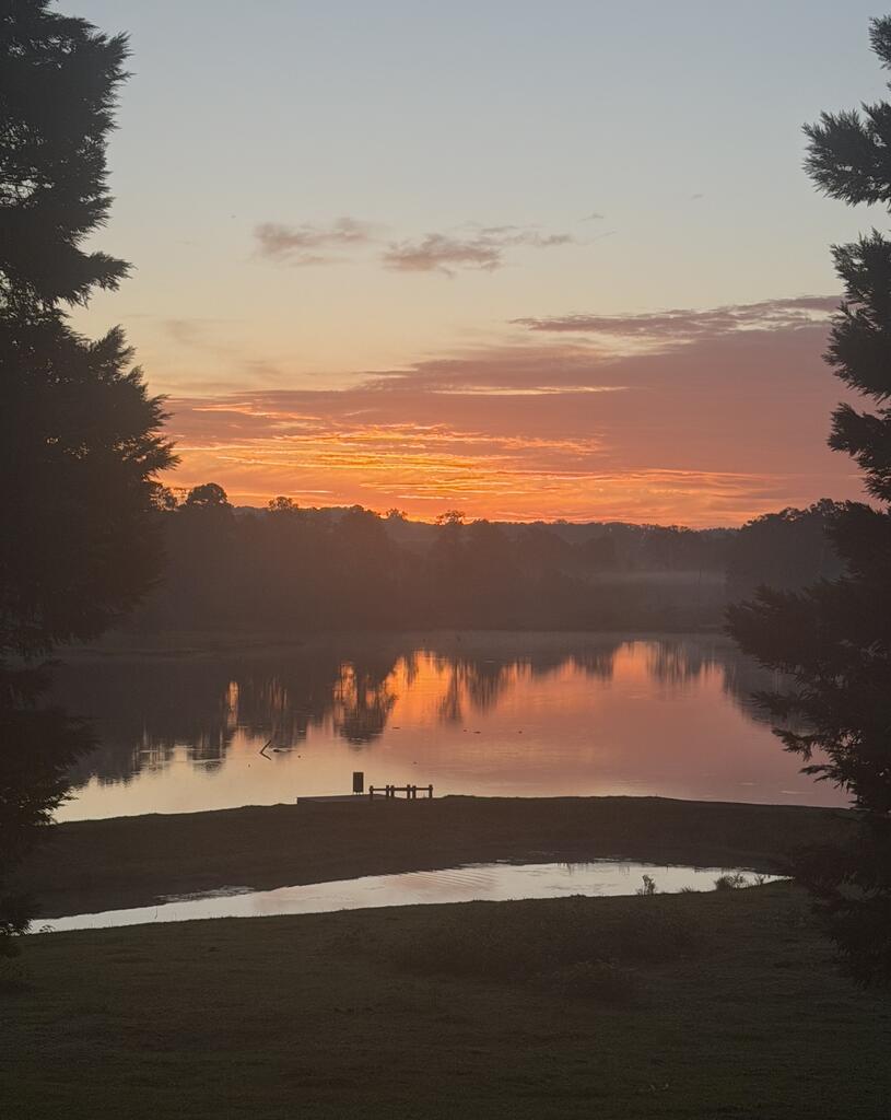 Sunset reflected on a calm lake, framed by trees with a small dock on the grassy shore.