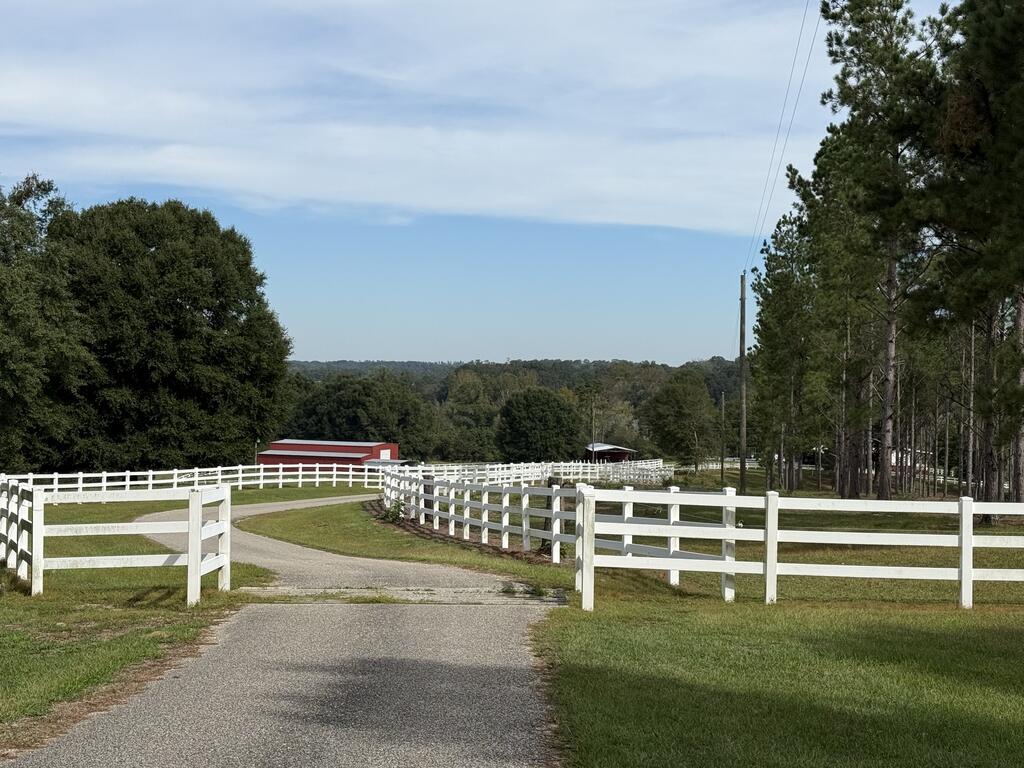 Rural property entrance with a curving driveway, white fencing, red outbuildings, and pine trees.
