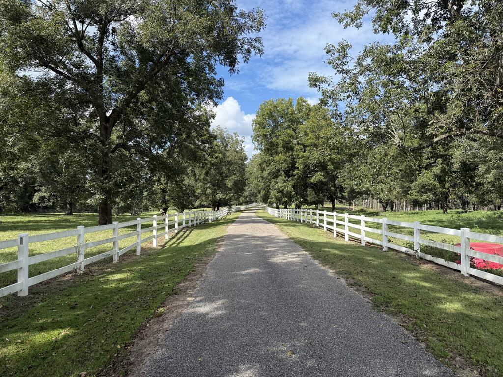 Paved driveway bordered by white rail fences and mature trees.
