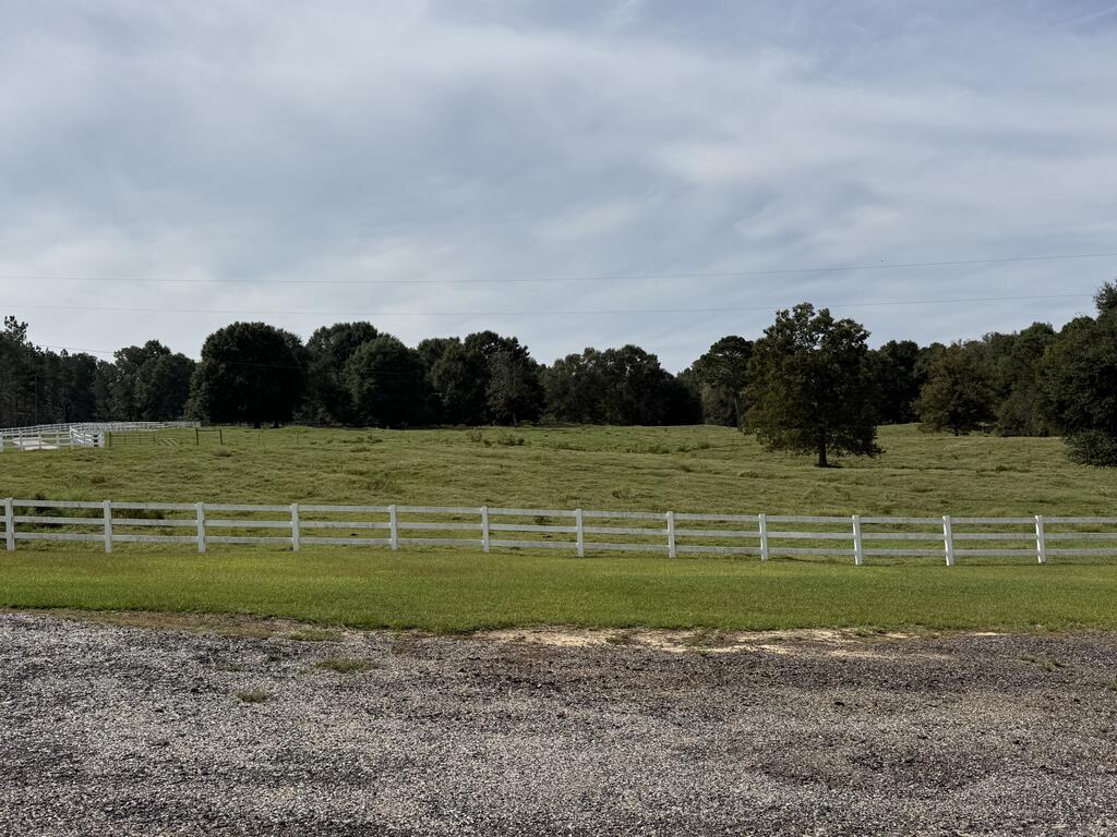 Grassy pasture enclosed by white rail fencing, with a gravel area in the foreground.