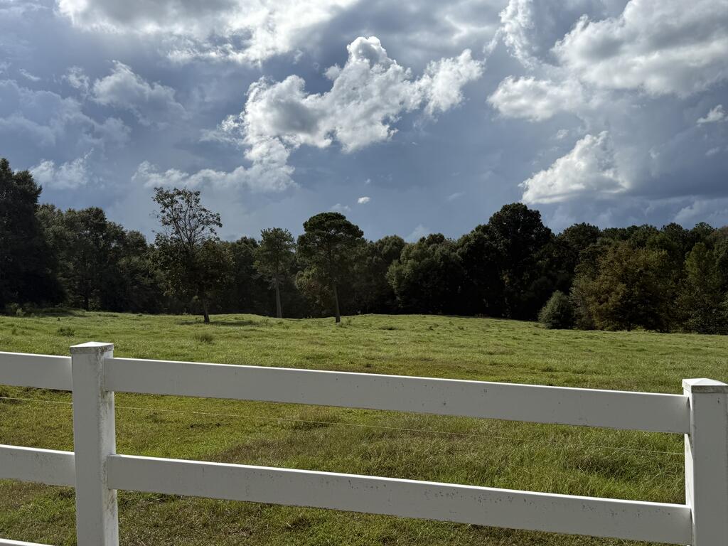 Open green pasture behind a white rail fence, with trees along the horizon.