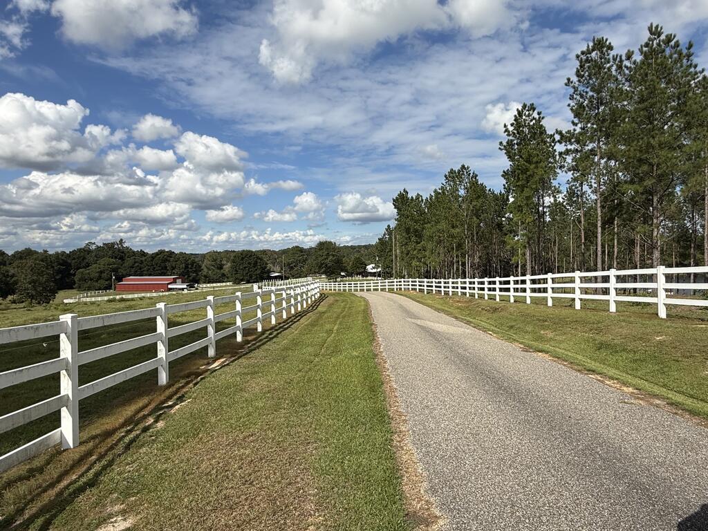 Paved rural driveway curves between white fences toward a red barn and pine trees.