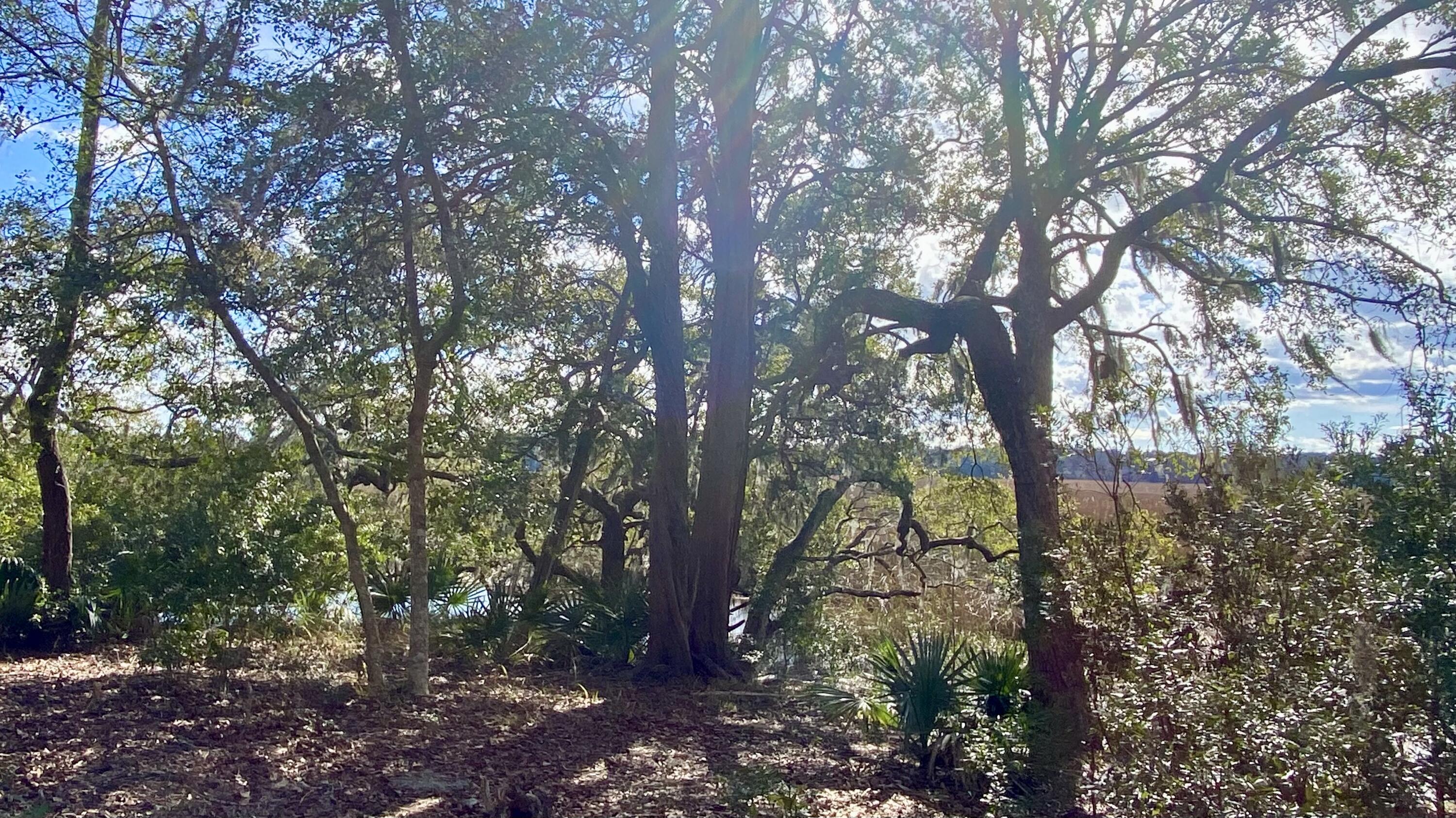 7765 Park Gate Drive