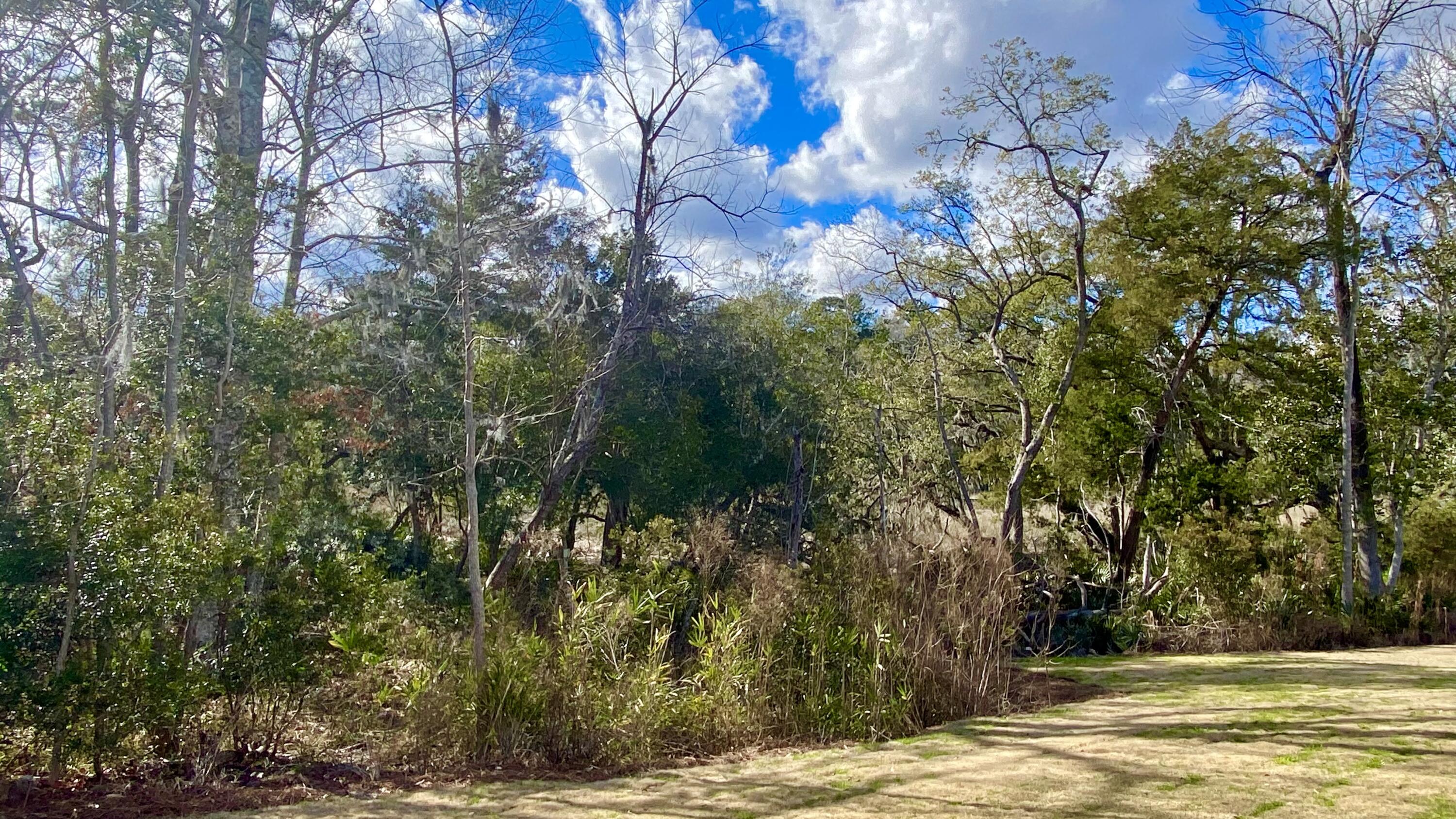 7765 Park Gate Drive