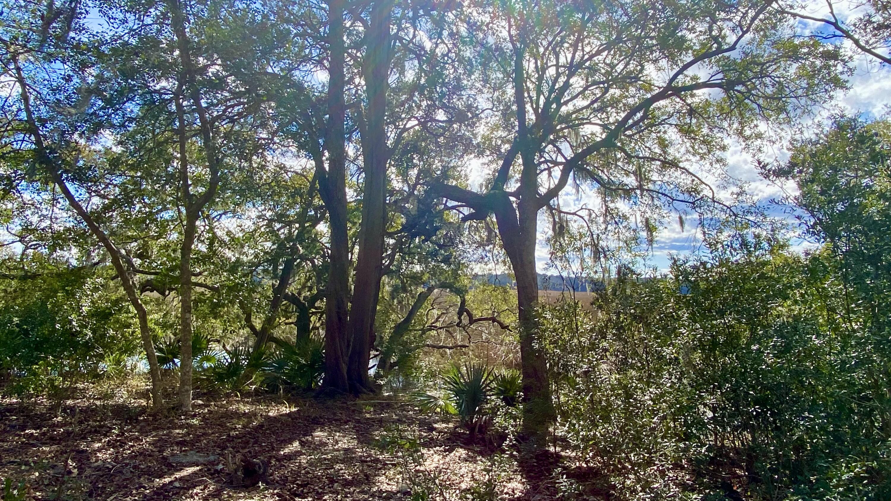 7765 Park Gate Drive